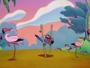 ZOBOD Zazu & flamingos