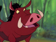 DBTC Pumbaa