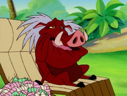 WW Pumbaa5