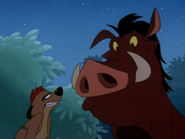 AM Timon & Pumbaa47