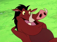 JWYTYCIA Pumbaa