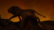 Lionking2019-animationscreencaps.com-12087