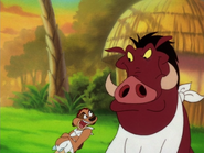 TBT Timon & Pumbaa17