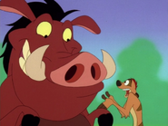 IB Timon & Pumbaa10