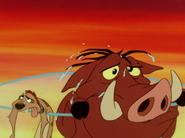 MD Timon & Pumbaa37