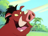 UBAE Pumbaa25