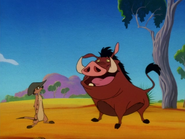 BOITO Timon & Pumbaa9