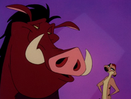 MIL Timon & Pumbaa29