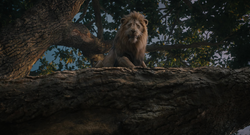 Mufasa-animationscreencaps.com-3186