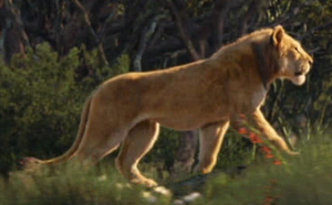 Simba 19 Film The Lion King Wiki Fandom
