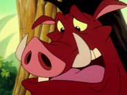 BGD Pumbaa3