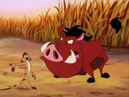 KBMF Timon & Pumbaa10