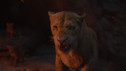 Lionking2019-animationscreencaps.com-11623