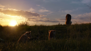 Lionking2019-animationscreencaps.com-3499