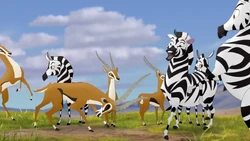 Swala fights with Muhimu over a depleted grazing ground.