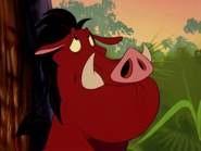 SSS Pumbaa16