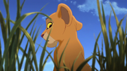 Lion-king2-disneyscreencaps.com-788