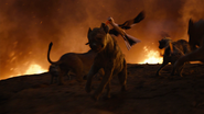 Lionking2019-animationscreencaps.com-11824