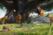 Obasi/Gallery | The Lion King Wiki | Fandom