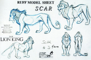 Scar model sheet