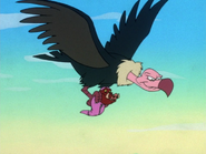 EBW Pumbaa & vulture