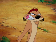 HEFY Timon5