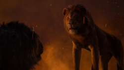 Lionking2019-animationscreencaps