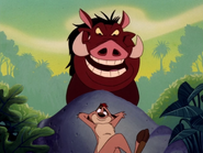 NE Timon & Pumbaa9