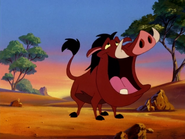 DOA Pumbaa3