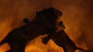 Lionking2019-animationscreencaps.com-12218