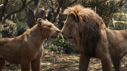 Lionking2019-animationscreencaps