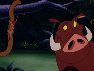 TLST Timon & Pumbaa9