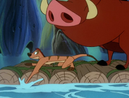 OB Timon & Pumbaa33