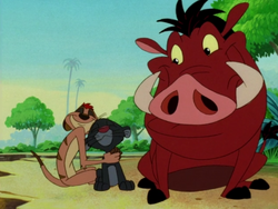 UIL Timon Pumbaa & panther7