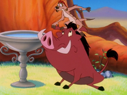 MB Timon & Pumbaa35