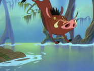 OB Timon & Pumbaa27