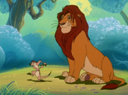 SYD Timon & Simba12