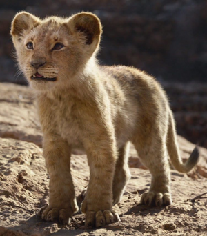 Simba 19 Film The Lion King Wiki Fandom