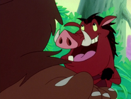 BL Pumbaa9