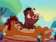 SYD Pumbaa & Simba4