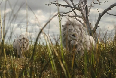 Babu (mandrill) | The Lion King Wiki | Fandom