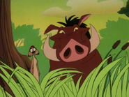 NE Timon & Pumbaa29