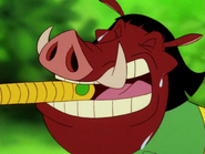 TSITS Pumbaa14