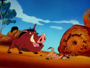 BOITO Timon & Pumbaa21