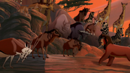 Lion-king2-disneyscreencaps.com-6883