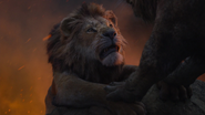 Lionking2019-animationscreencaps.com-11514