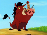 RFD Timon & Pumbaa15