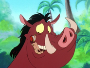 AQ Timon & Pumbaa9