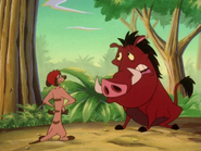 BGD Timon & Pumbaa8