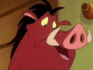 BHB Pumbaa5